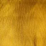 yellow-damask-texture-1384594-m